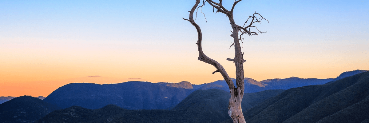 微信小程序 textarea 组件最大输入长度问题