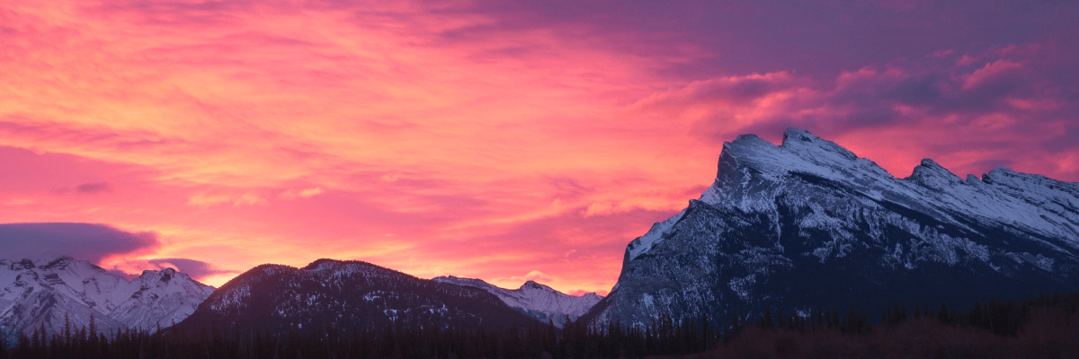 我的【博友圈】 2025 年度报告