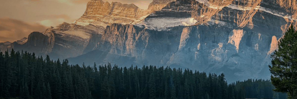 浏览器升级后 C-LODOP 打印插件问题